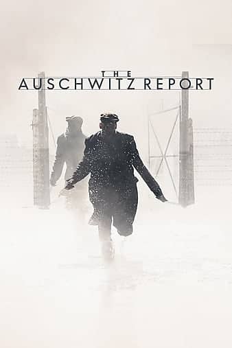 ִ / Sprva / The Auschwitz Report